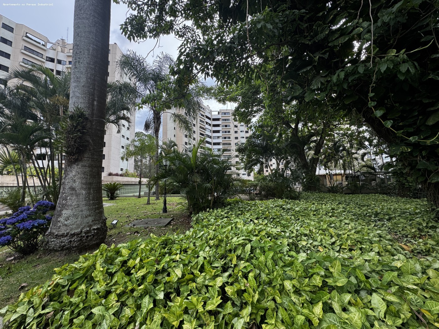 493552-75255185702bb1372a73a930867b5301